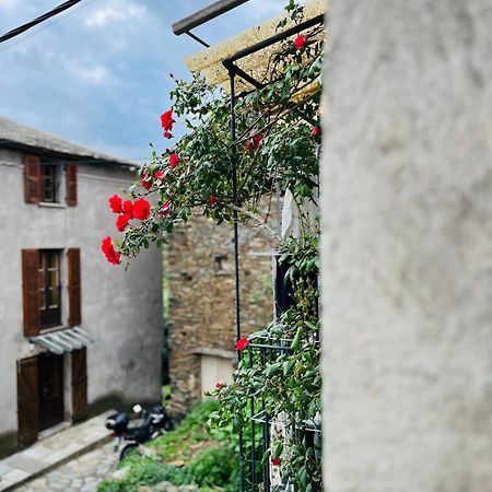 Tres Jolie Maison Aux Portes Du Cap Corse Sisco Eksteriør bilde