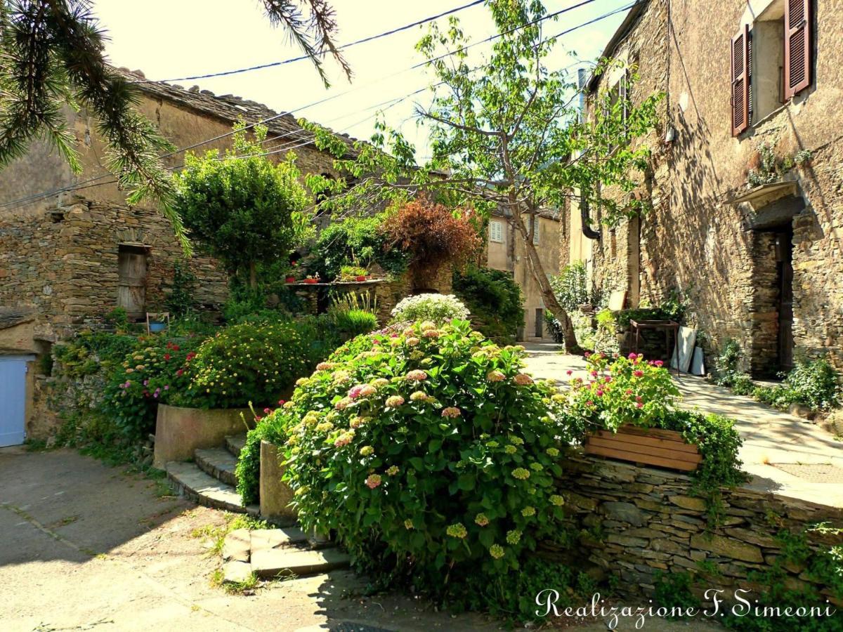 Tres Jolie Maison Aux Portes Du Cap Corse Sisco Eksteriør bilde