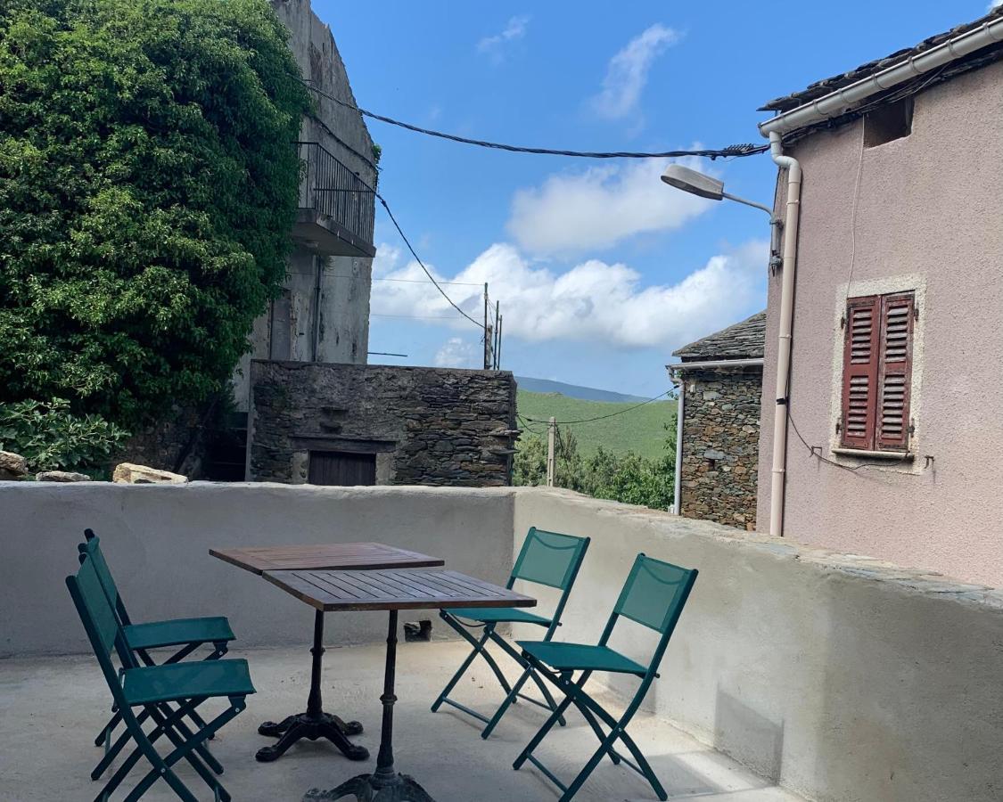 Tres Jolie Maison Aux Portes Du Cap Corse Sisco Eksteriør bilde