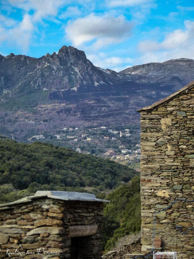 Tres Jolie Maison Aux Portes Du Cap Corse Sisco Eksteriør bilde